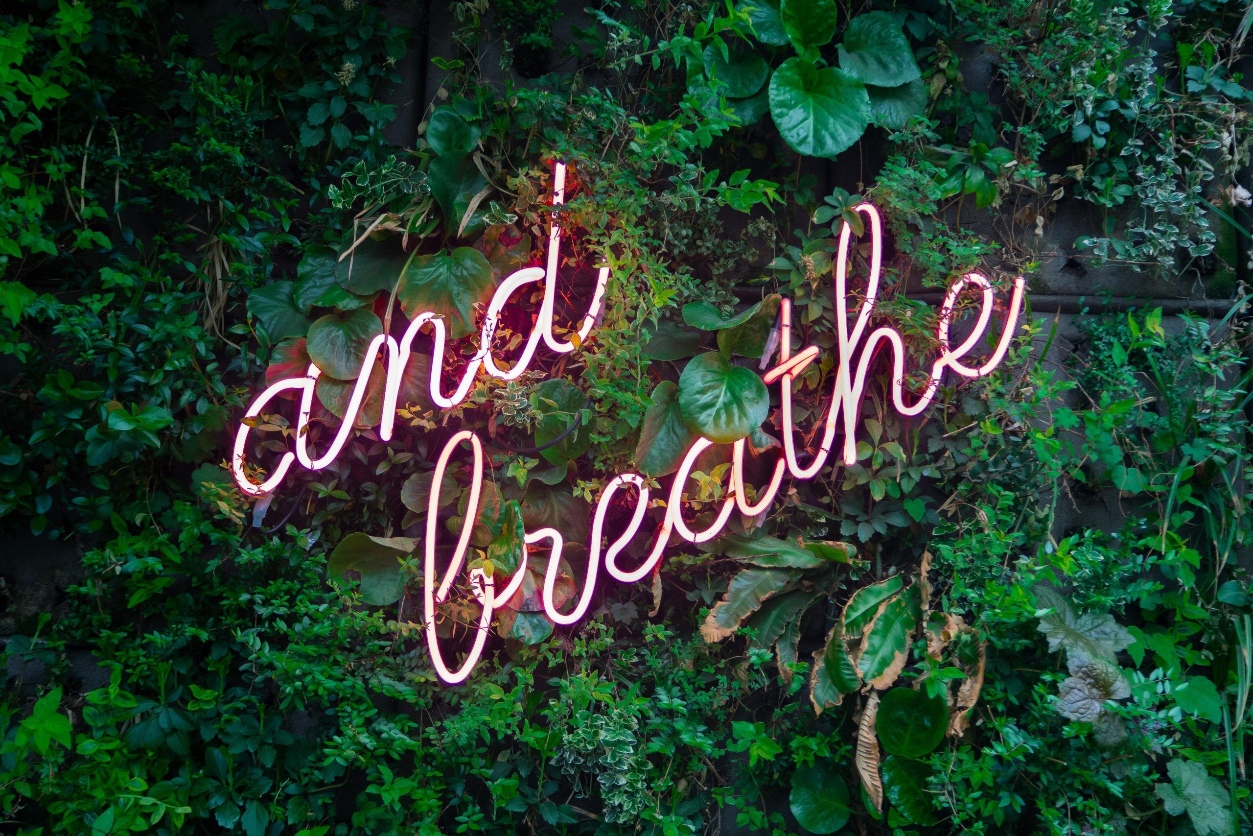 Declutter Your Mind