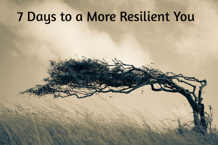 Resilience Tips